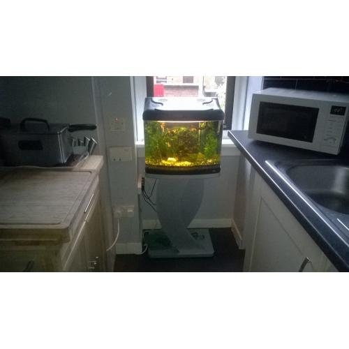 Complete Hailea 65L FA400 Aquarium setup with stand included