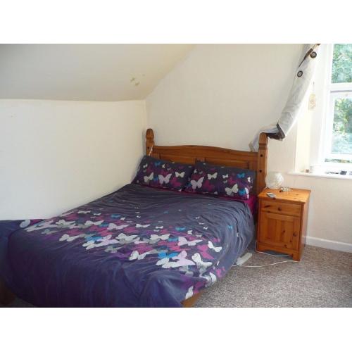 Lovely double bedroom available for two weeks