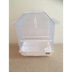 Beautiful baby budgie with new cage