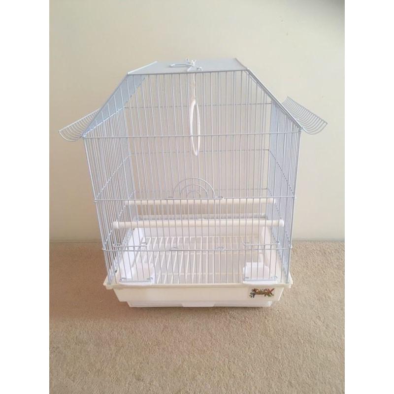 Beautiful baby budgie with new cage