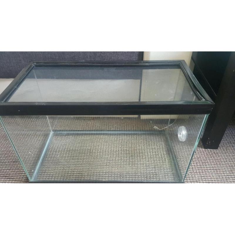 vivarium for reptiles