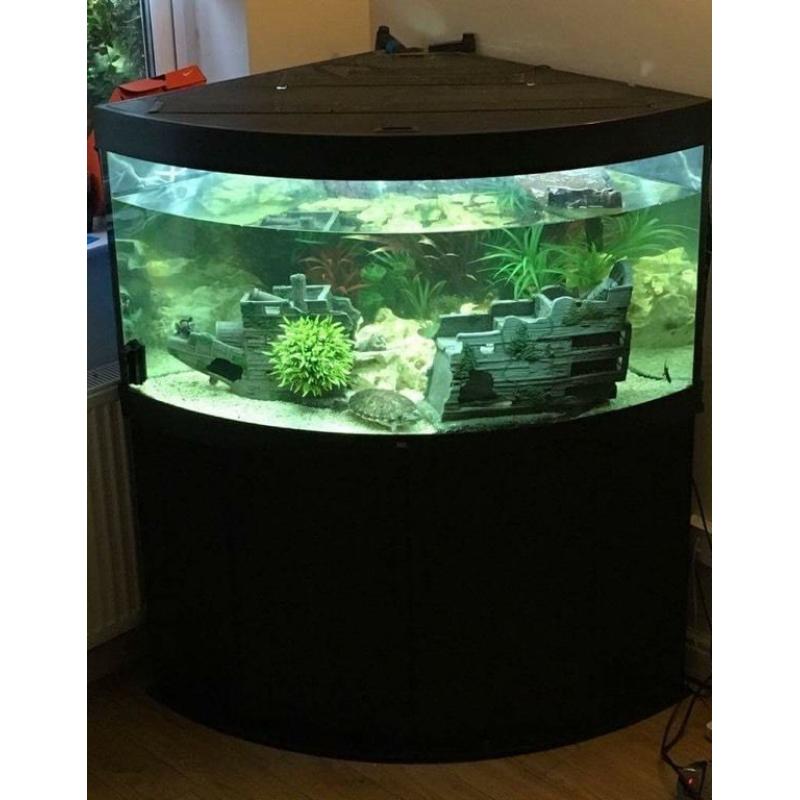 Juwel Trigon 350L Tropical Fish Tank Full Setup with External Filter