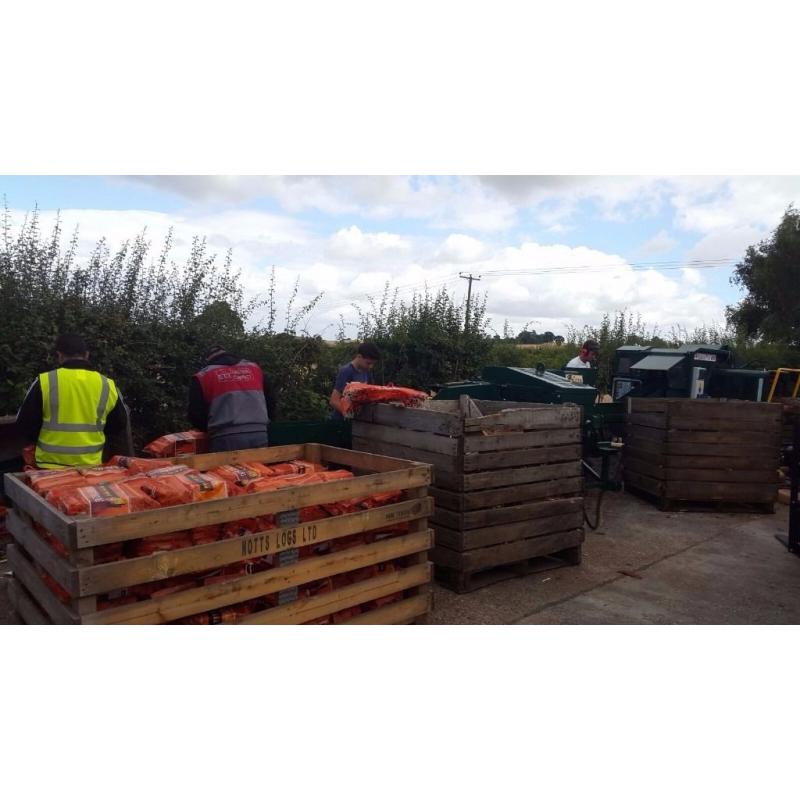 Firewood Production / Processing Supervisor