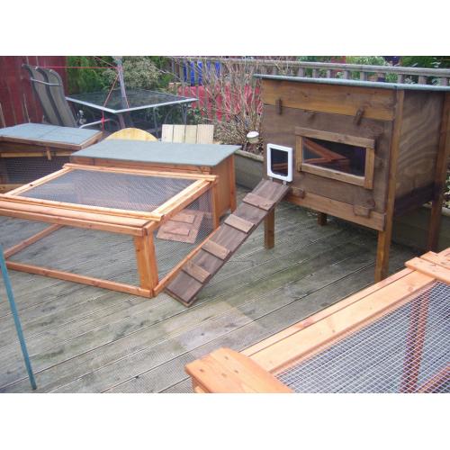 cat kennel robust germ free 24"x24"so easy clean worh viewing