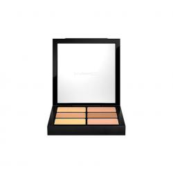 MAC Cosmetics Pro Conceal and Correct Palette/Medium