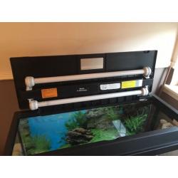 Fish tank for sale