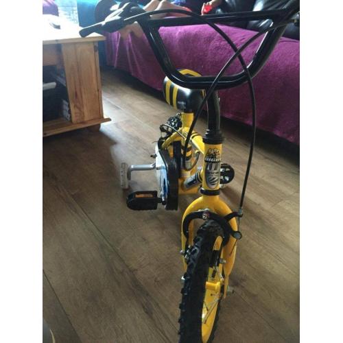 bike 2-5 years