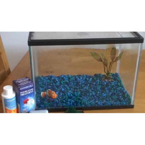 Fish Tank and accessories