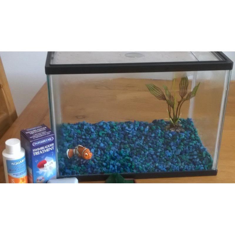 Fish Tank and accessories