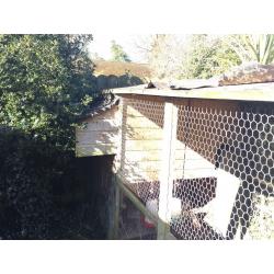 Chicken Coop for Sale