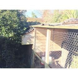Chicken Coop for Sale