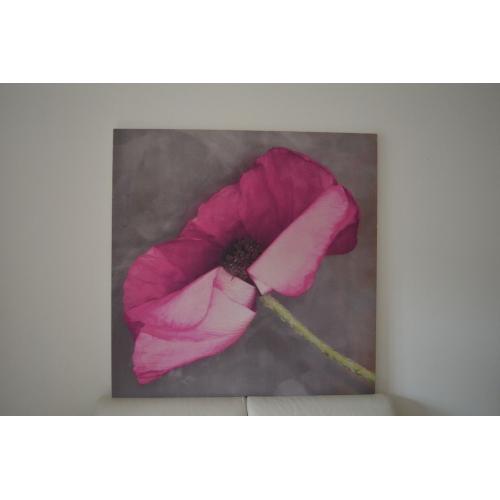 Designer Frameless Print by Erin Clark