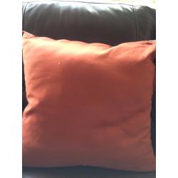 Next Cushions x 2