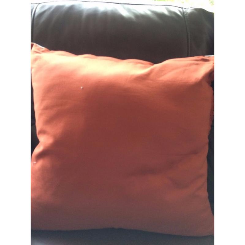 Next Cushions x 2