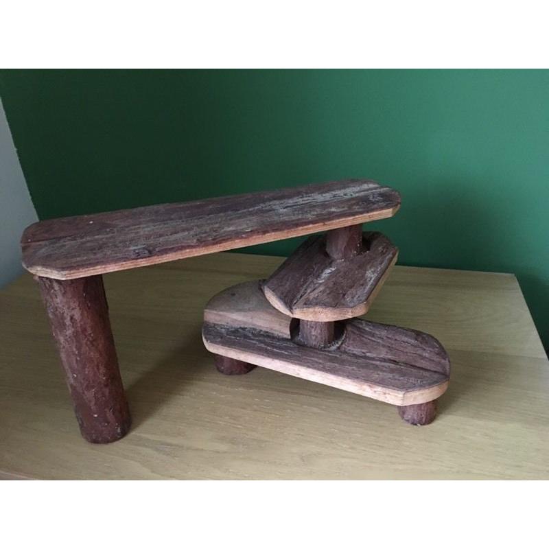 Reptile shelf