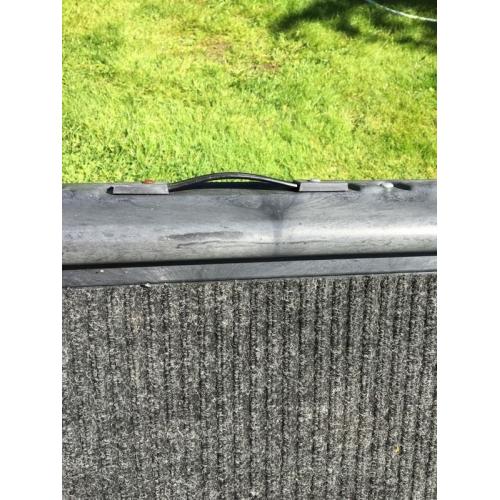 Pet /dog ramp
