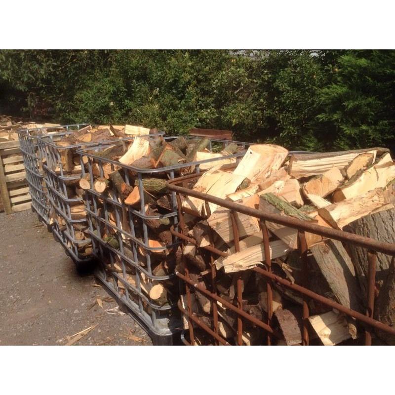 Long Logs /large logs
