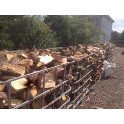 Long Logs /large logs