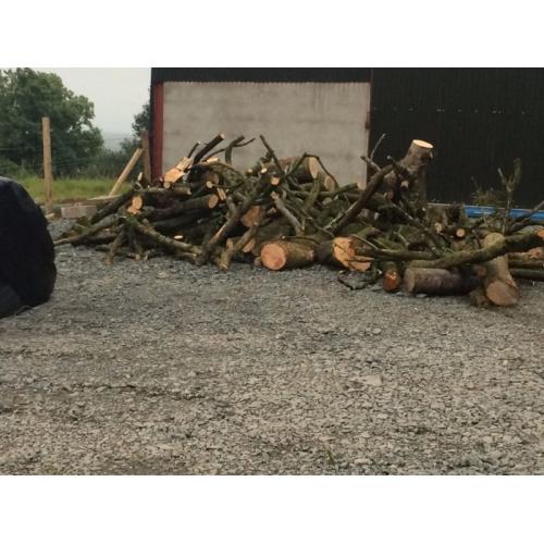 Lengths of firewood
