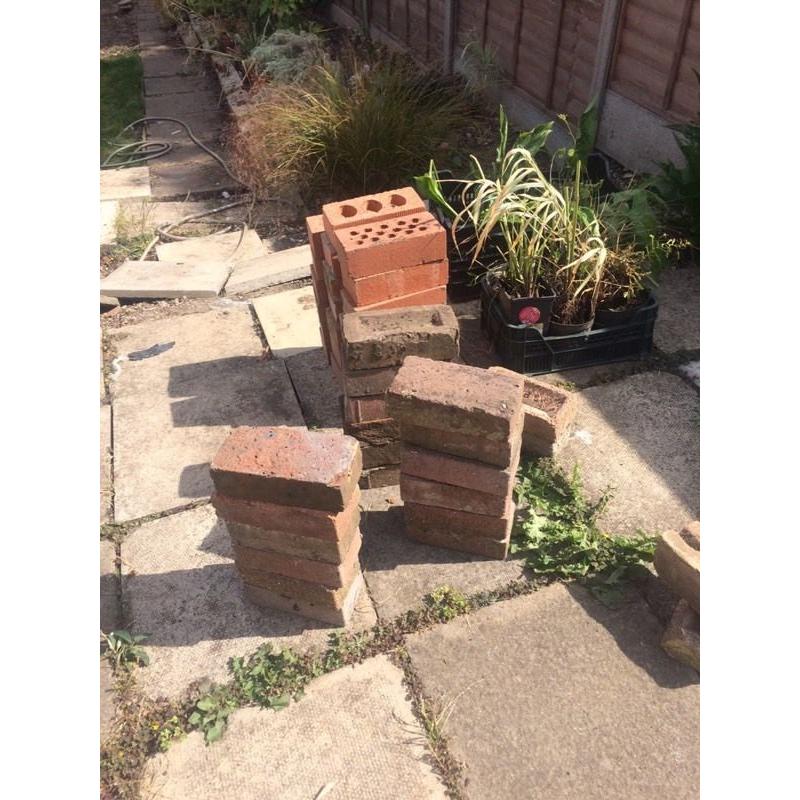 FREE BRICK MUST BE PICKED UP BY WEDNESDAY