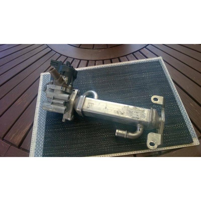 IVECO DAILY 2012 EGR
