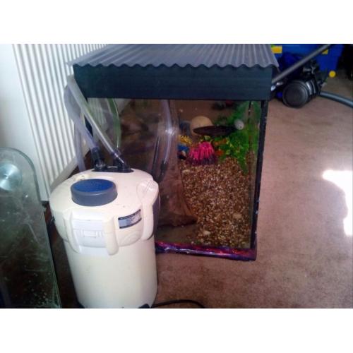 Fish tank 4ft