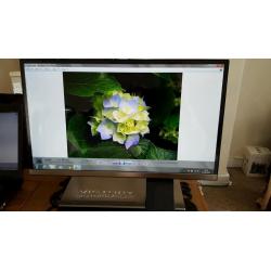 Acer 236HL monitor