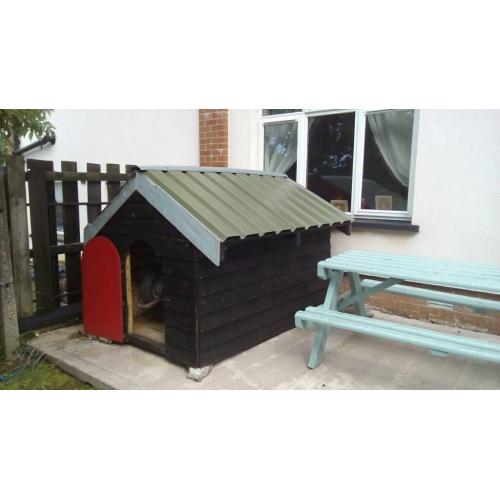 Dog box for sale