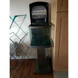 Fish tank