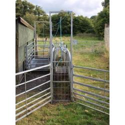 COMPLETE SHEEP HANDLING SYSTEM
