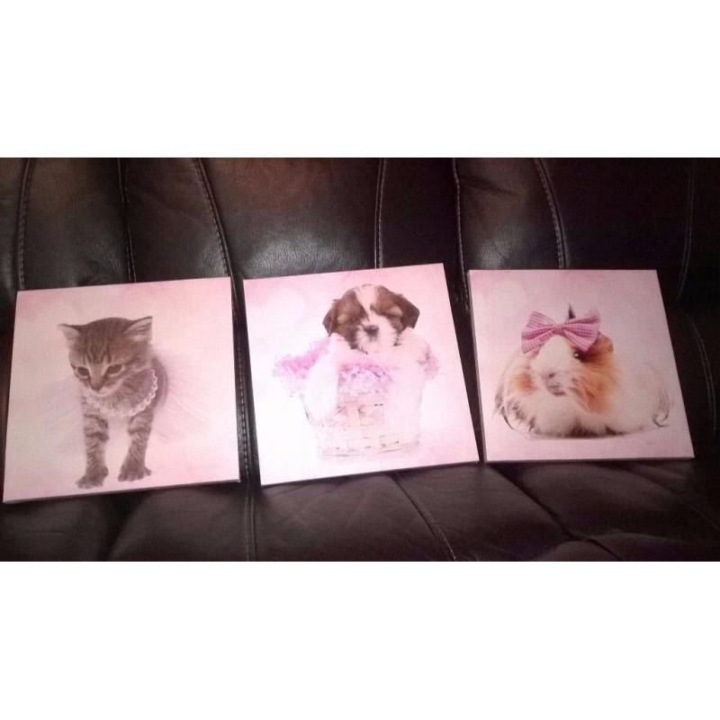 Cute anilmals canvas