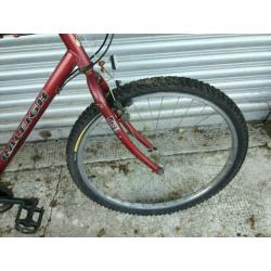 Raleigh Avalanche Mountain Bicycle in Working Order