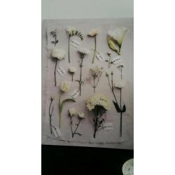 wall pictures canvases