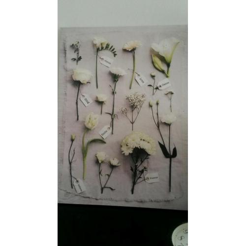 wall pictures canvases