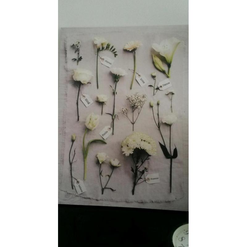 wall pictures canvases