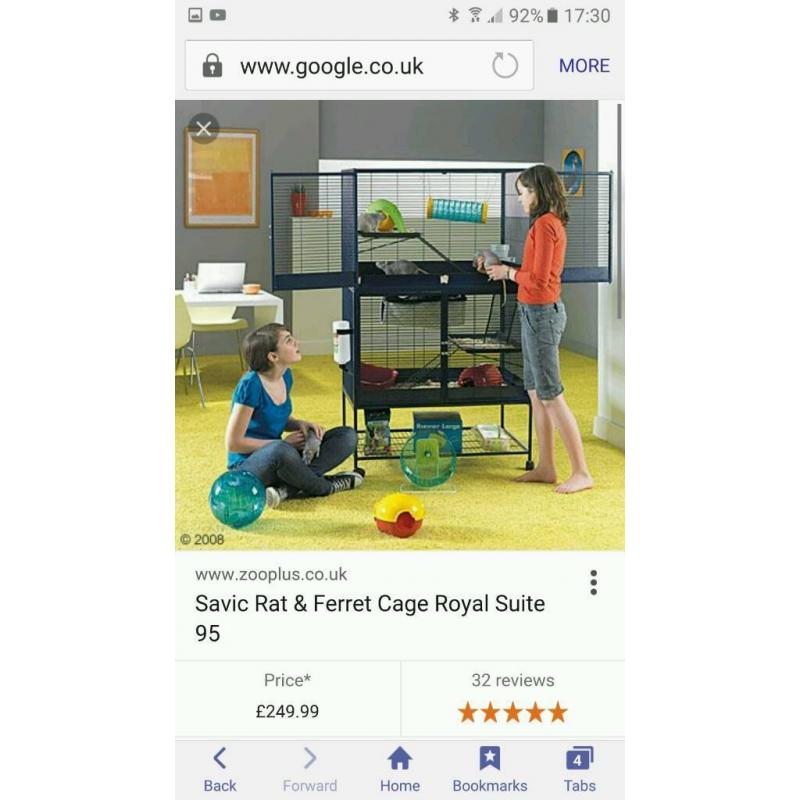 Savic rat cage with 4 female rats.