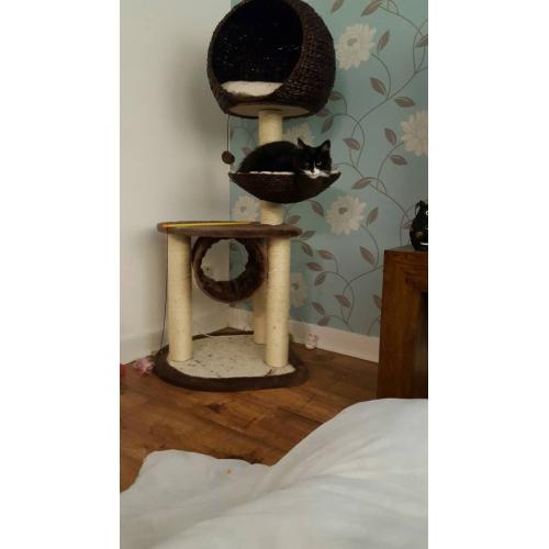 Cat tree
