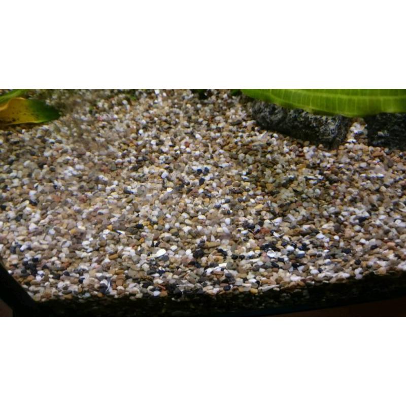 Fish tank gravel
