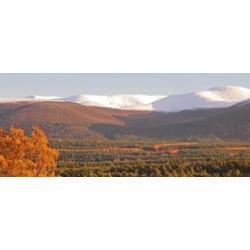 Aviemore Holiday Park Caravan for Hire Anytime this Winter / Dalraddy Holiday Park