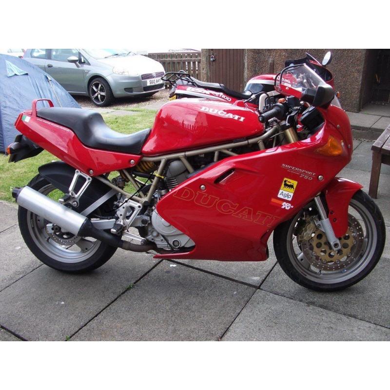DUCATI