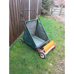 HAND PROPELLED LAWN RAKE