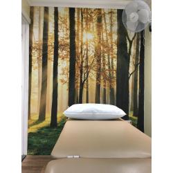 Massage table (electric)