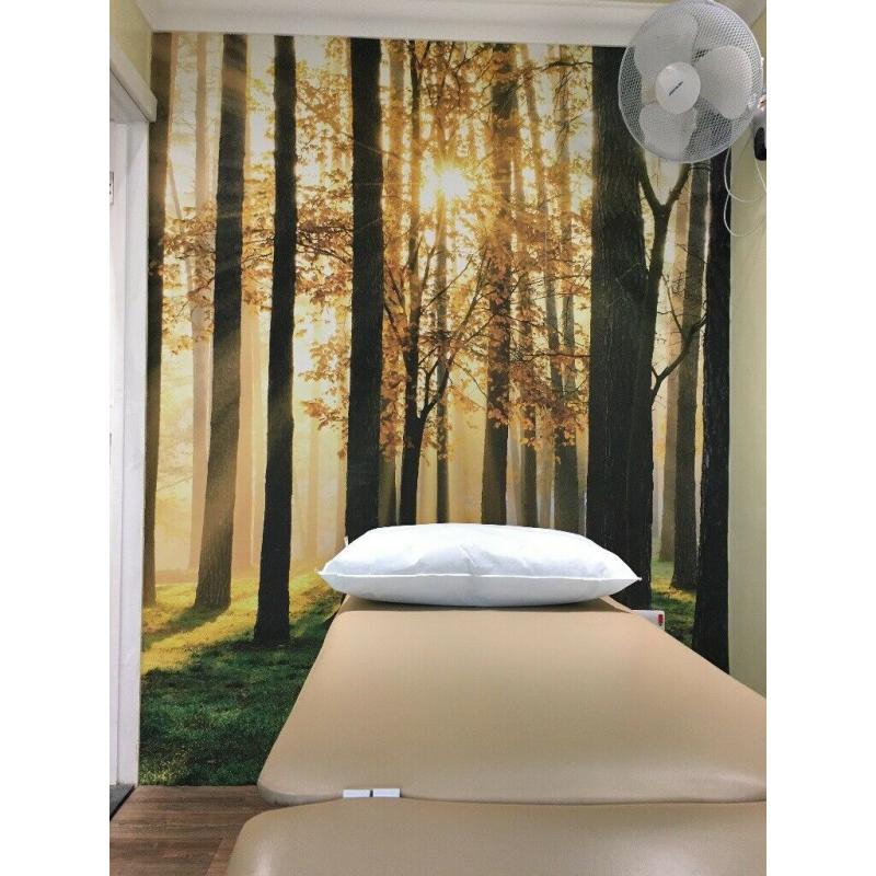 Massage table (electric)