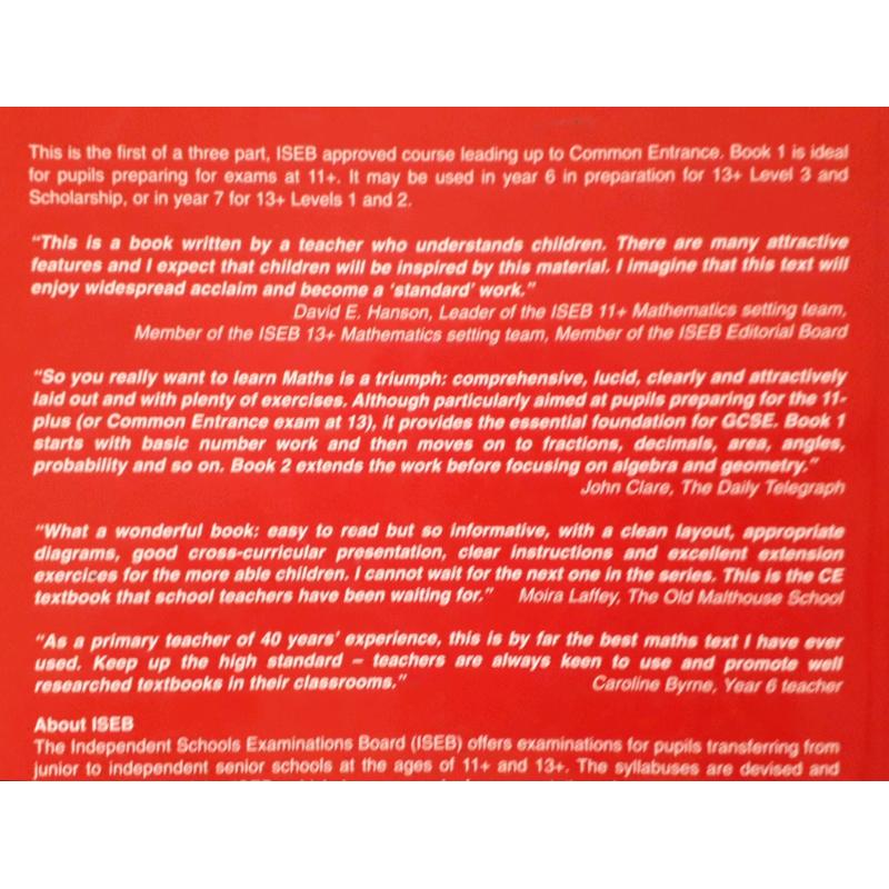 So you REALLY want to learn Maths - Book 1