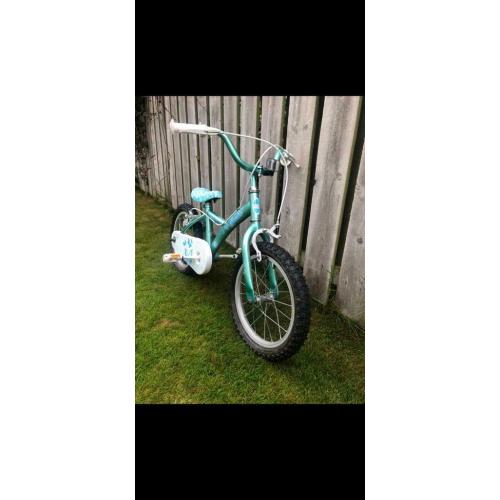 Apollo kids bike 16?