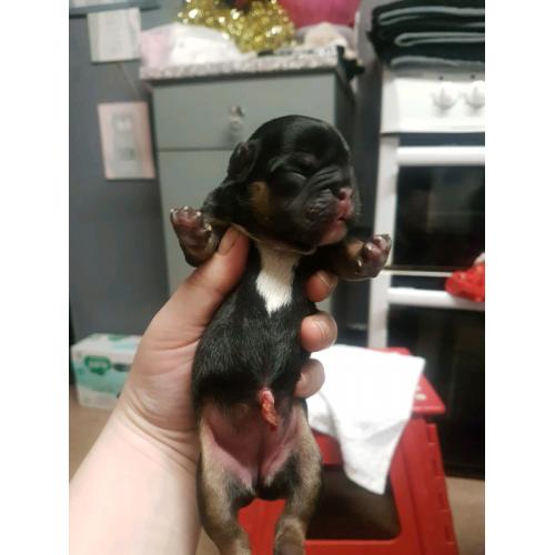 Beautiful baby's