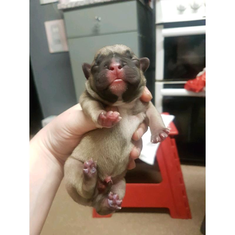 Beautiful baby's