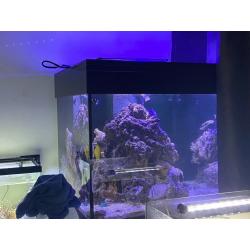 Shutting tank down