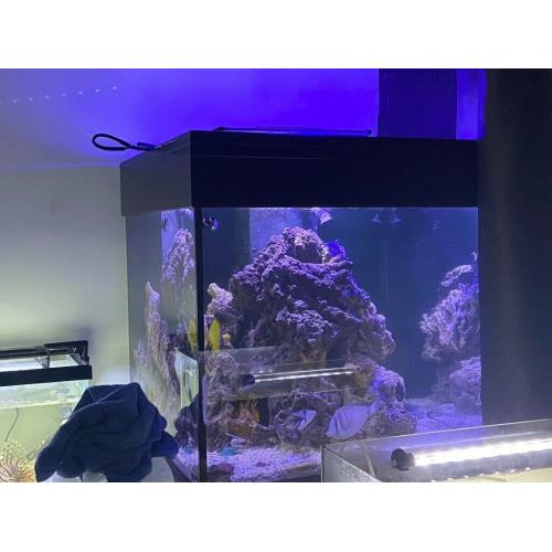Shutting tank down