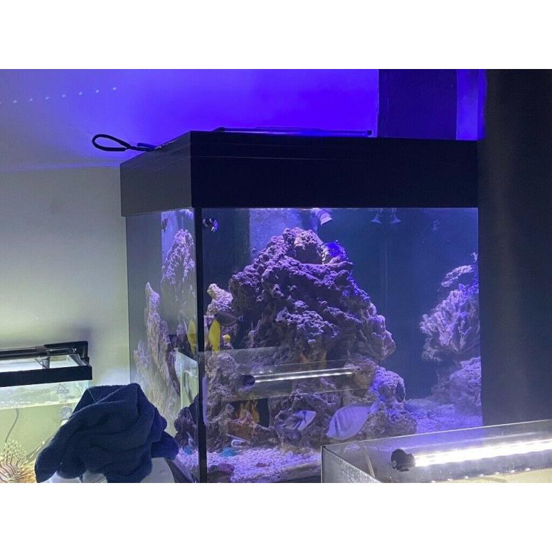 Shutting tank down